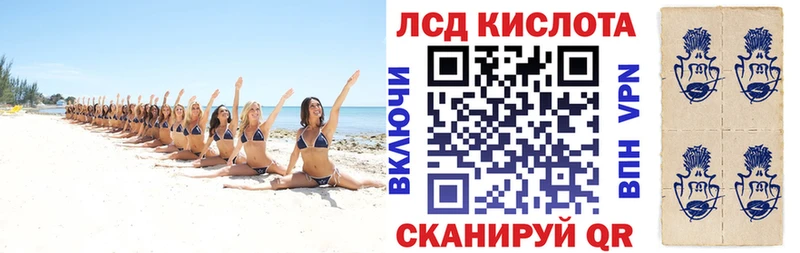 Наркотические марки 1,8мг  как найти закладки  Сальск 