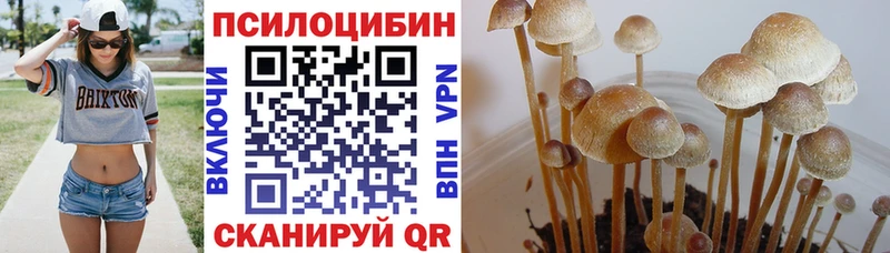 Псилоцибиновые грибы ЛСД  ссылка на мегу сайт  Сальск 